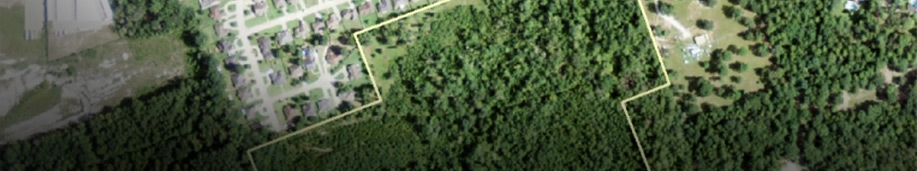 White Oak Real Estate