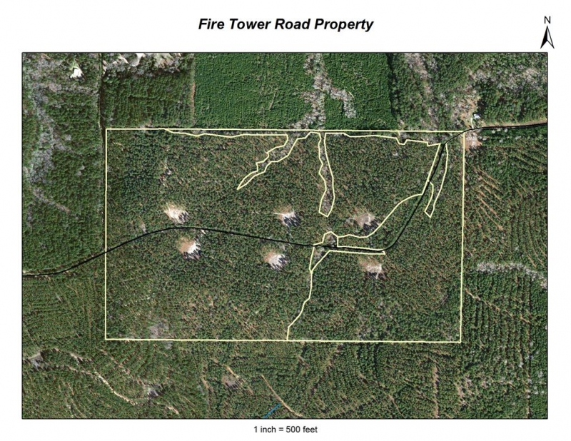 South of Nacogdoches 160 Acres White Oak Realty